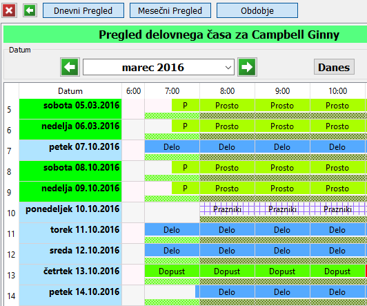 Pregled delovnega casa
